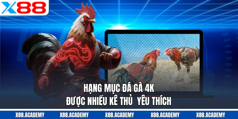 Hạng mục đá gà 4K được nhiều kê thủ yêu thích